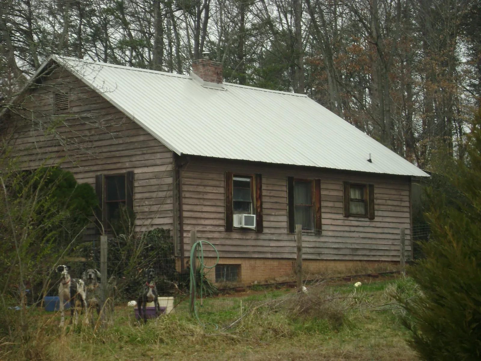 White metal roof on an old wood sided farmhouse, from a Metal Roof Installation job in Ferguson